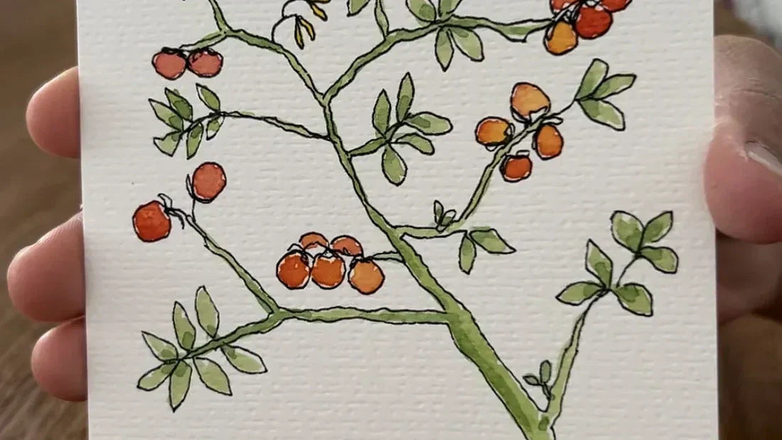 An image of a watercolour painting of a tomato plant