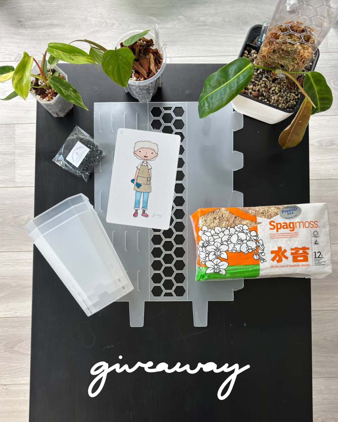 Table with gardening supplies including plants, pots, and a personalised themed portrait on a black surface.