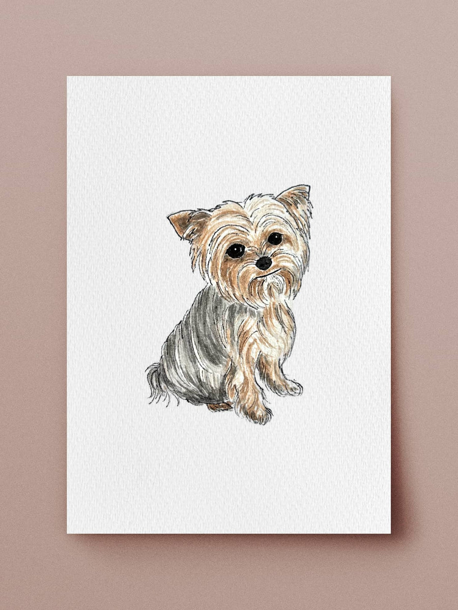 Pet portrait